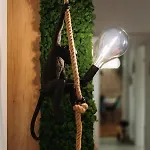 Quiboo Cosmopolit Lejlighed Braşov