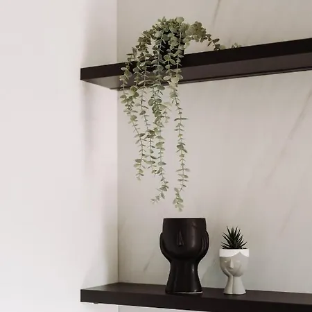 Quiboo Cosmopolit Διαμέρισμα Μπρασόβ