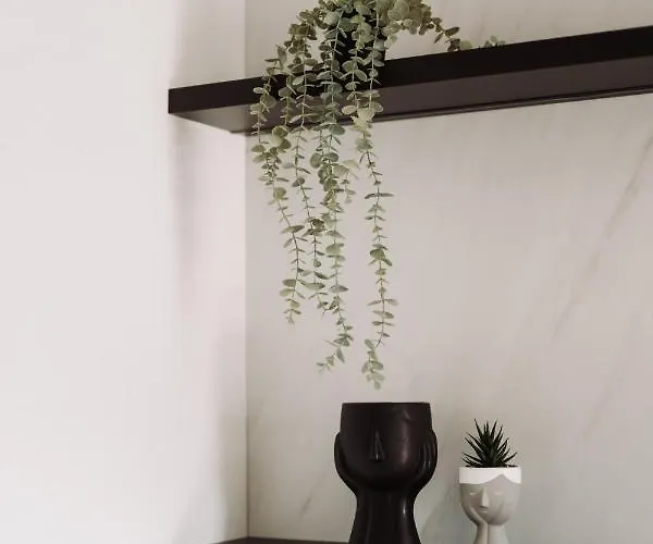 Quiboo Cosmopolit Apartament Braszów