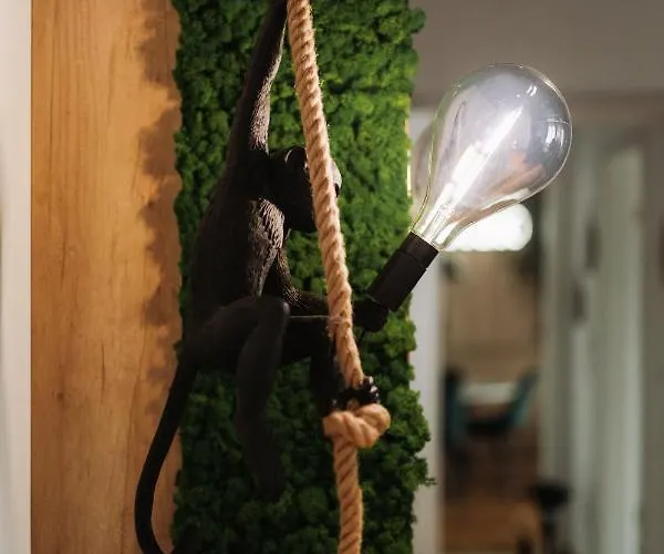 Quiboo Cosmopolit Apartment Brasov